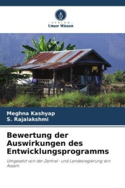 Bewertung der Auswirkungen des Entwicklungsprogramms