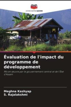 Évaluation de l'impact du programme de développement