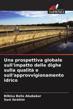 Una prospettiva globale sull'impatto delle dighe sulla qualità e sull'approvvigionamento idrico