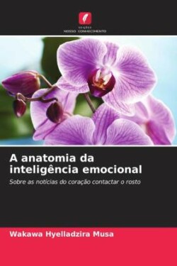 A anatomia da inteligência emocional