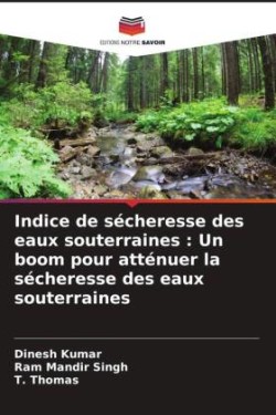 Indice de sécheresse des eaux souterraines : Un boom pour atténuer la sécheresse des eaux souterraines