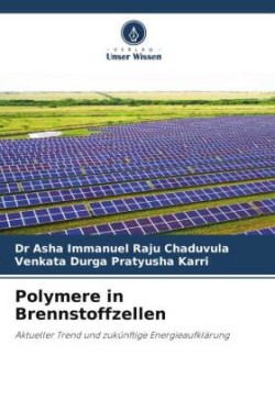 Polymere in Brennstoffzellen