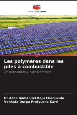 Les polymères dans les piles à combustible