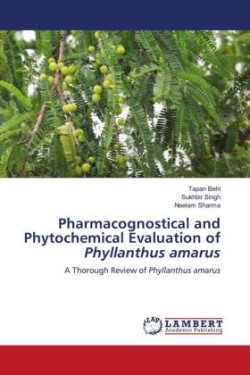 Pharmacognostical and Phytochemical Evaluation of Phyllanthus amarus