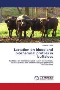 Lactation on blood and biochemical profiles in buffaloes