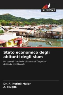 Stato economico degli abitanti degli slum