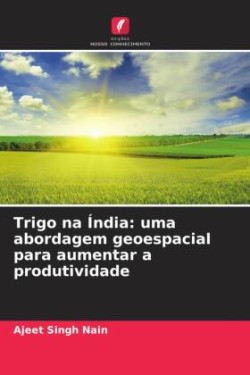 Trigo na Índia: uma abordagem geoespacial para aumentar a produtividade