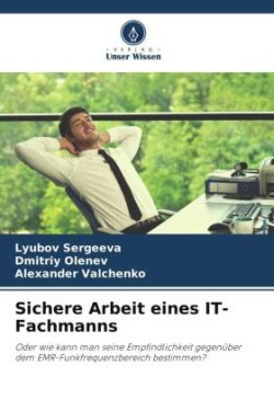 Sichere Arbeit eines IT-Fachmanns