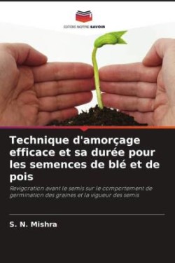 Technique d'amorçage efficace et sa durée pour les semences de blé et de pois