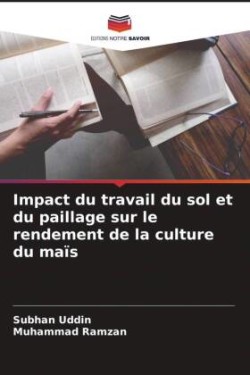 Impact du travail du sol et du paillage sur le rendement de la culture du maïs