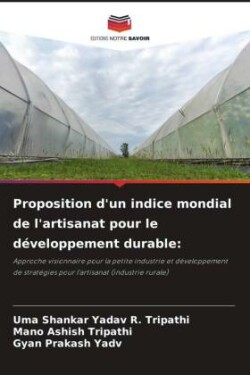 Proposition d'un indice mondial de l'artisanat pour le développement durable: