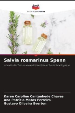 Salvia rosmarinus Spenn