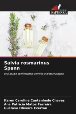 Salvia rosmarinus Spenn