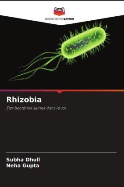 Rhizobia