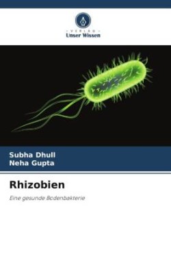 Rhizobien