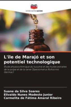 L'île de Marajó et son potentiel technologique