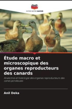 Étude macro et microscopique des organes reproducteurs des canards