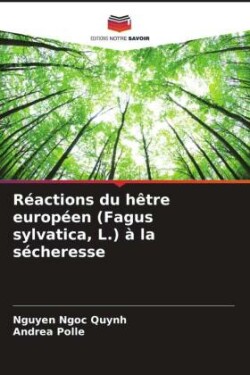 Réactions du hêtre européen (Fagus sylvatica, L.) à la sécheresse