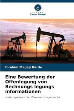 Eine Bewertung der Offenlegung von Rechnungs legungs informationen