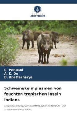 Schweinekeimplasmen von feuchten tropischen Inseln Indiens