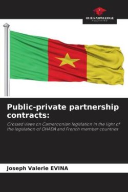 Public-private partnership contracts