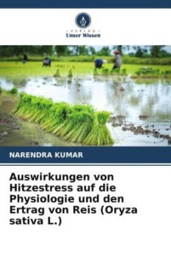 Auswirkungen von Hitzestress auf die Physiologie und den Ertrag von Reis (Oryza sativa L.)