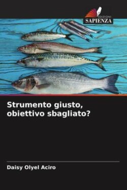 Strumento giusto, obiettivo sbagliato?