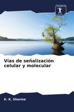 Vías de señalización celular y molecular