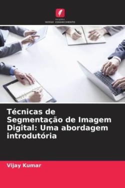 Técnicas de Segmentação de Imagem Digital: Uma abordagem introdutória