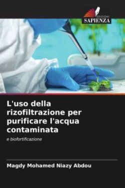 L'uso della rizofiltrazione per purificare l'acqua contaminata