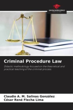 Criminal Procedure Law