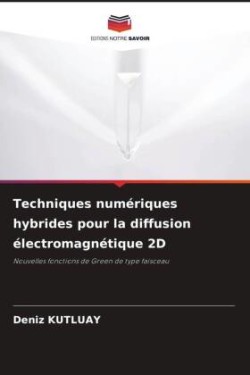 Techniques numériques hybrides pour la diffusion électromagnétique 2D