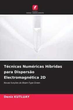 Técnicas Numéricas Híbridas para Dispersão Electromagnética 2D