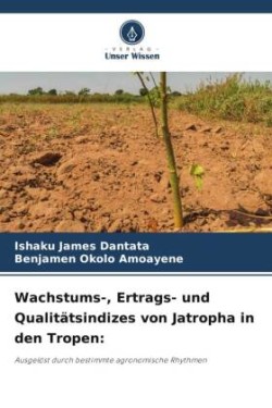 Wachstums-, Ertrags- und Qualitätsindizes von Jatropha in den Tropen