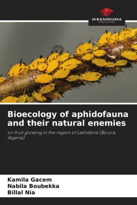 Bioecology of aphidofauna and their natural enemies