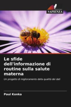 sfide dell'informazione di routine sulla salute materna