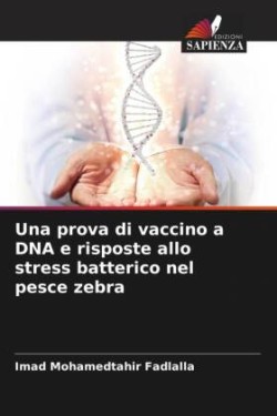 prova di vaccino a DNA e risposte allo stress batterico nel pesce zebra