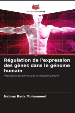 Régulation de l'expression des gènes dans le génome humain