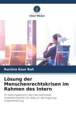 Lösung der Menschenrechtskrisen im Rahmen des Intern