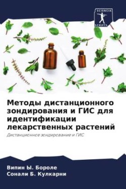 Методы дистанционного зондирования и ГИС