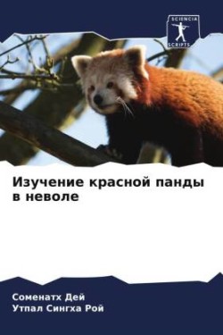 Изучение красной панды в неволе
