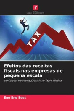 Efeitos das receitas fiscais nas empresas de pequena escala