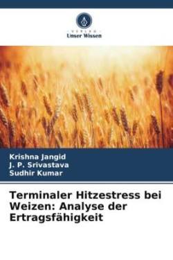 Terminaler Hitzestress bei Weizen