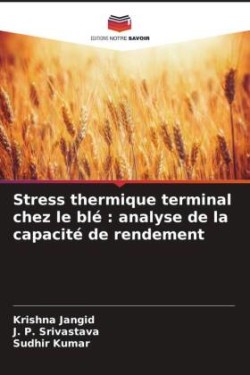 Stress thermique terminal chez le blé