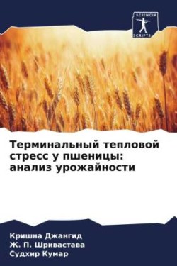 Терминальный тепловой стресс у пшеницы