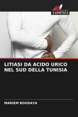 Litiasi Da Acido Urico Nel Sud Della Tunisia