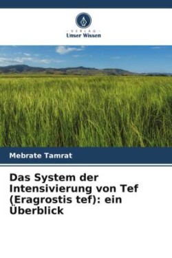 System der Intensivierung von Tef (Eragrostis tef)