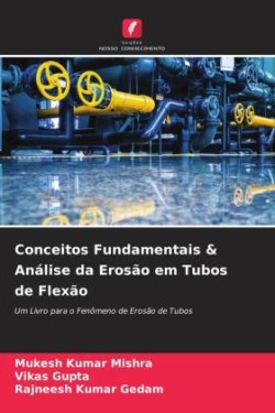 Conceitos Fundamentais & Análise da Erosão em Tubos de Flexão