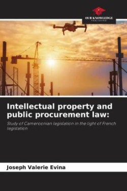 Intellectual property and public procurement law