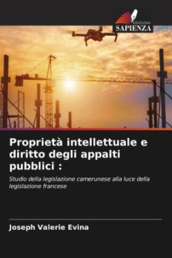 Proprietà intellettuale e diritto degli appalti pubblici